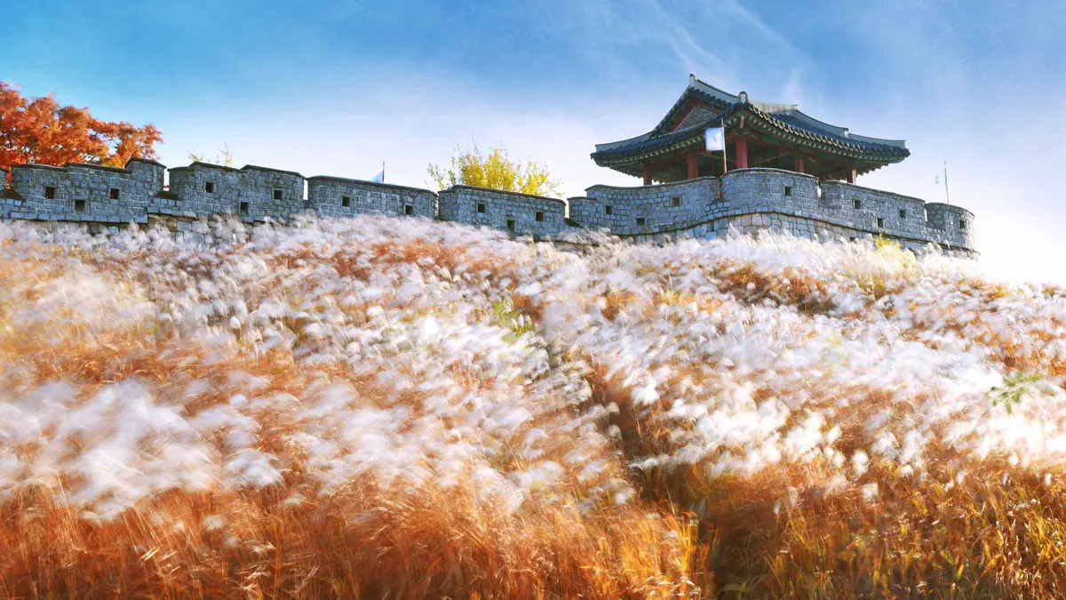 From Seoul: Suwon Hwaseong Fortress Tour — a Seoul tour listing on this Seoul city guide, South Korea