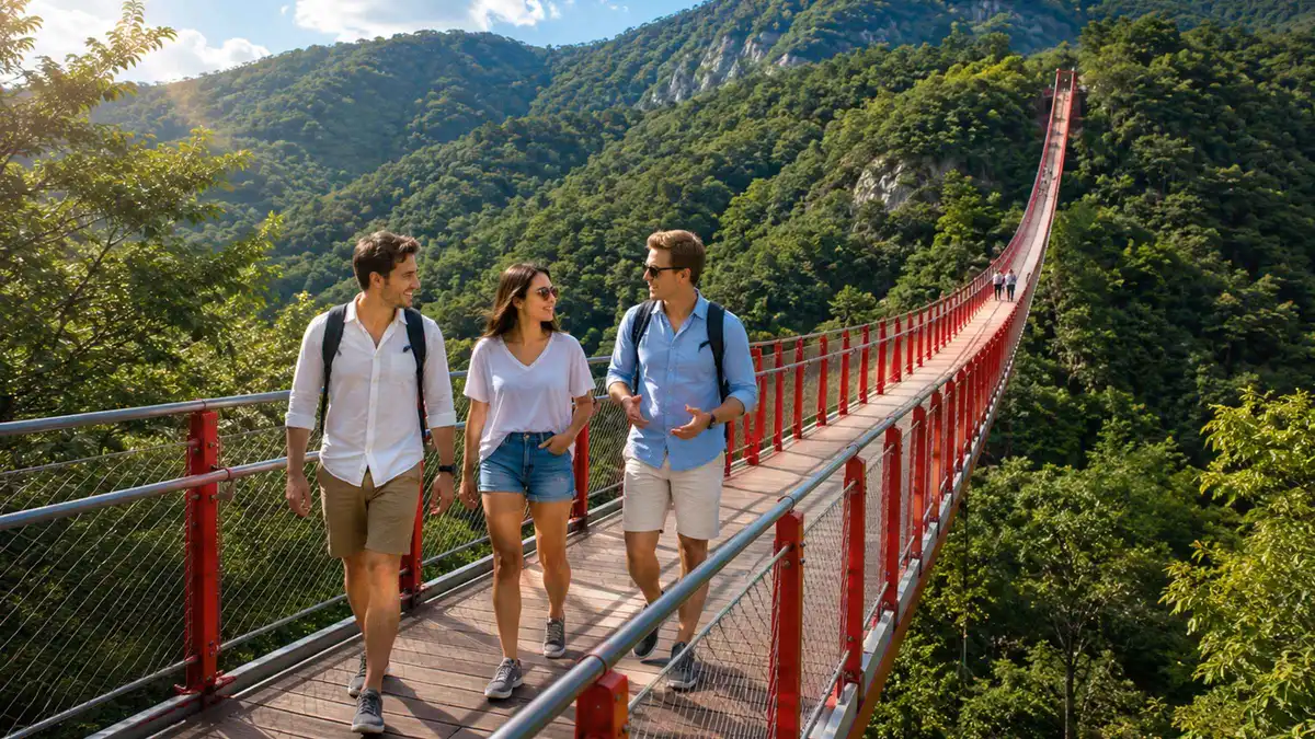 DMZ Insider Tour: Defector Q&A, 3rd Tunnel & Bridge Options — a Seoul tour listing on this Seoul city guide, South Korea