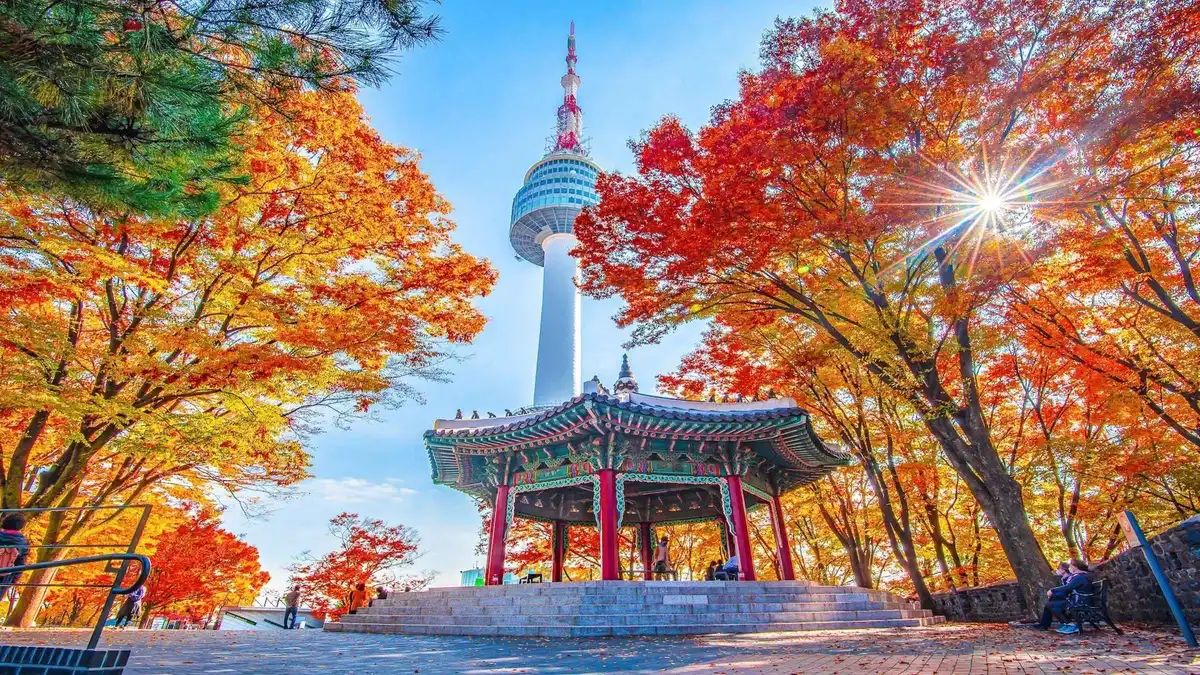 Seoul: N Seoul Tower Observatory & Cable Car Combo Ticket — a Seoul tour listing on this Seoul city guide, South Korea